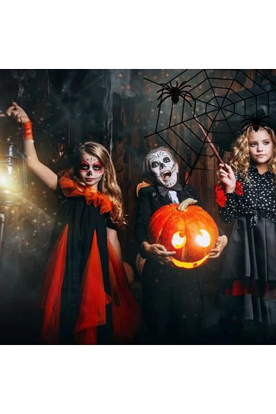 Butyeak Halloween Spider Web Set with 2 Spiders, Artificial Cotton, Black, 150 cm