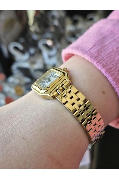 Essence D1140.120Ss Essence Women's Watch with 2 Years Warranty a Product of the Combination of Stylishness and Esthetics Water Pass