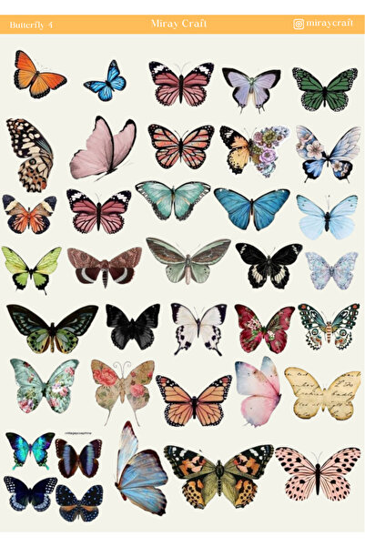 MirayDesign 1 autocolant cu tematică fluture (12x17 cm) pentru Bullet Journal...