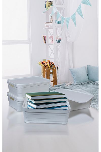 Nesto Home Set of 4 Multi-Purpose Colorful Box with Lid Office Organizer 4X8.2 Liters