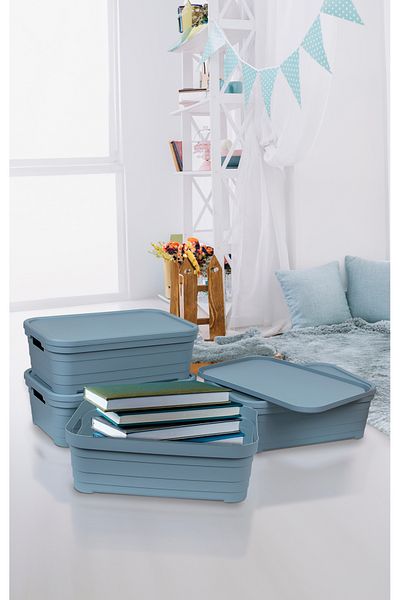 Nesto Home Set of 4 Multi-Purpose Colorful Box with Lid Office Organizer 4X8.2 Liters