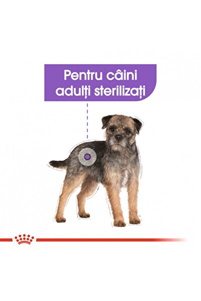 Royal Canin Mini Sterilised Adult dry food for small sterilized dogs, 8 kg