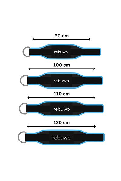 Rebuwo Professional Weightlifting Belt |   Weight Belt with Lumbar Support (120 cm)