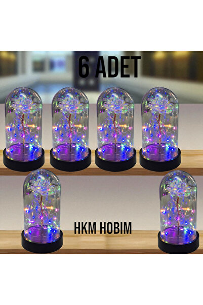 HKM Hobim جرس الورد الذي لا يتلاشى - مصباح جالاكسي مع أضواء RGB |   الهدايا و...