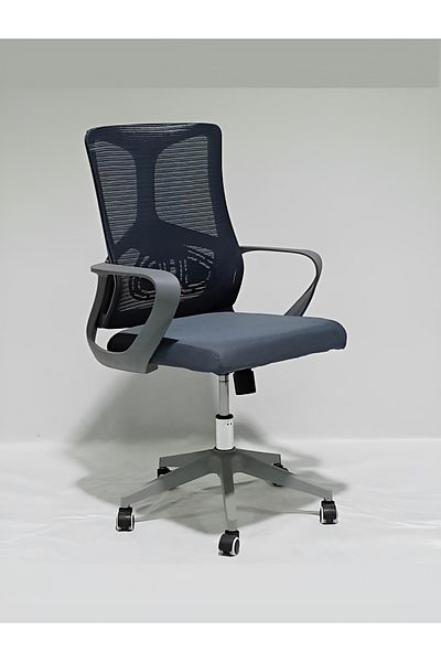 rexa Ergonomic Office Chair – Comfortable Adjustable Chair for Home & Workplace Use