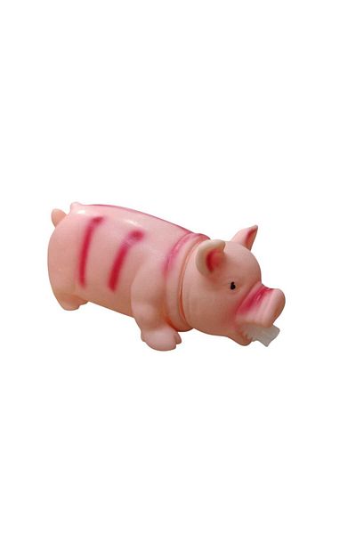 Cans Sound Pig - Dog Toy 20 cm