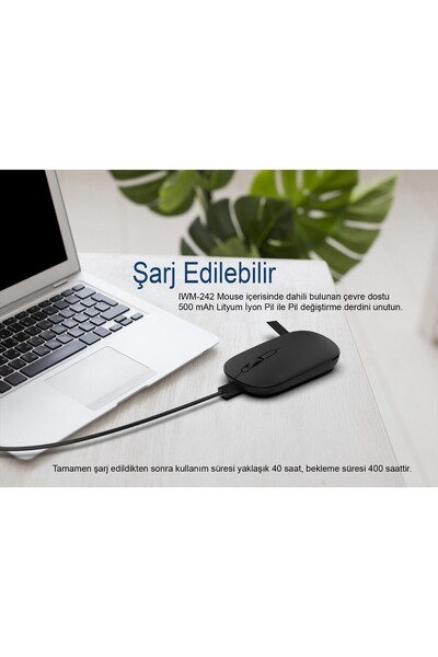 Inca IWM-242 Bluetooth+Wireless Double Mod Rechargeable Handhold Silent Mouse