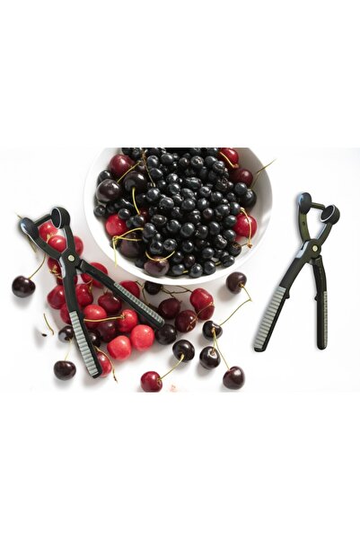 TEKNO İSTANBUL Çekirdek Çıkarıcı Vişne Zeytin Çekirdek Çıkarıcı Meyve Çekirdeği Çıkarma Pensesi