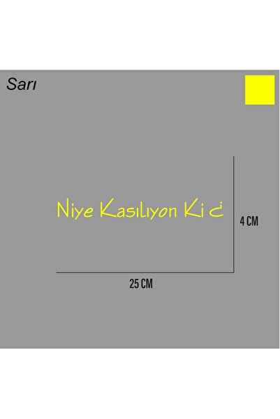 ARONA ملصق Niye Kasıyon Ki على الزجاج الخلفي، ملصق وعد 25 سم