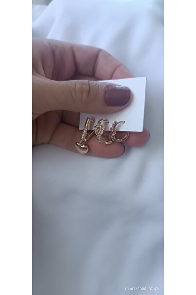 ARİ TAKI Heart Rose Mounted 3 Steel Earrings