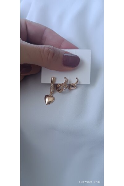 ARİ TAKI Heart Rose Mounted 3 Steel Earrings