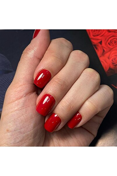 Choice أظافر قصيرة مربعة من WHITE ARTAUG، 24 قطعة، أظافر صناعية لامعة عالية ا...