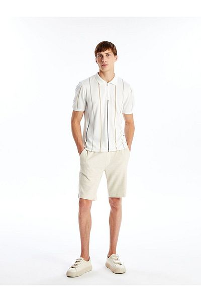 LC Waikiki Beige Standard Fit Men's Shorts