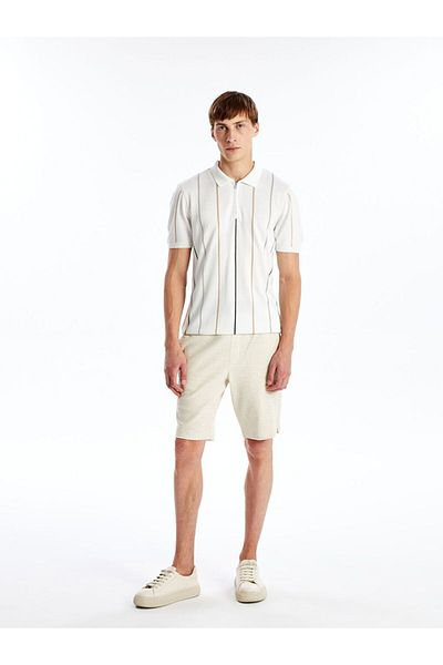 LC Waikiki Beige Standard Fit Men's Shorts
