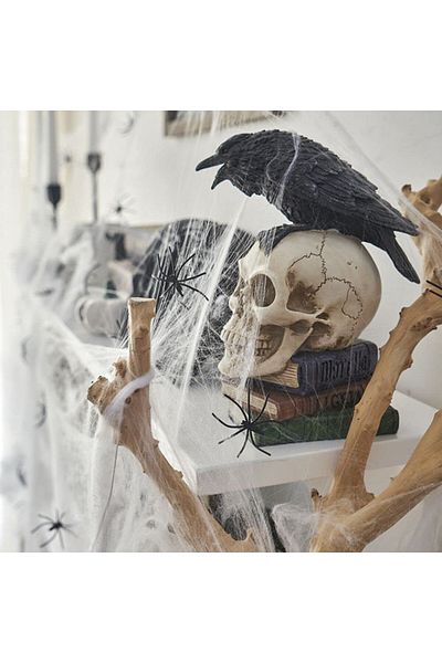 Maxee Set of 2 webs and 20 spiders for Halloween Maxee, cotton/plastic, white/black