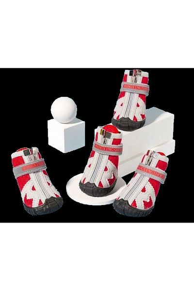 Mixpet Breathable Small and Medium Breed Dog Shoes