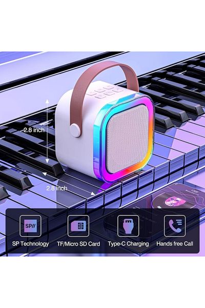 Deliny Portable Karaoke Party Speaker with 2 Wireless Microphones