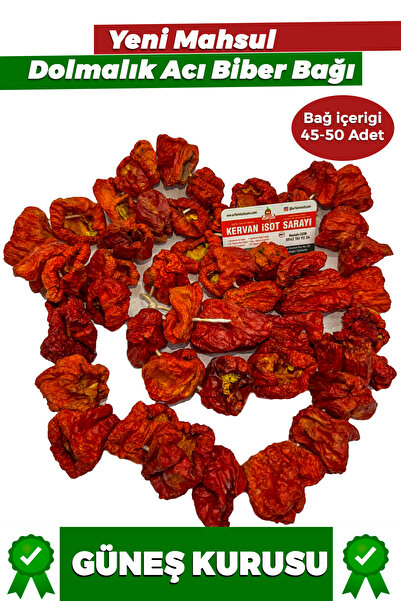 URFAM İSOTÇUM Dolmalık Acı Biber Bağı 45-50 Adet