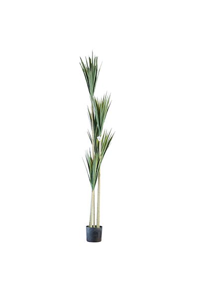 Generic 2m Artificial Yucca Tree
