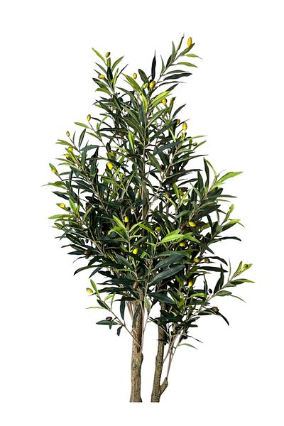 Generic Artificial olive tree 1.75 m high