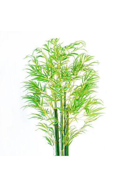 Generic 1.6m Artificial Bamboo Tree