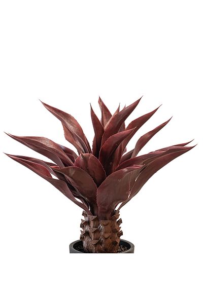 Generic 80cm artificial red cactus tree