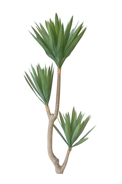 Generic Agfa Cactus Artificial Tree 1.40m