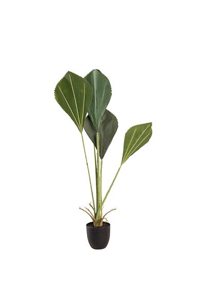 Generic 1.1m artificial palm tree