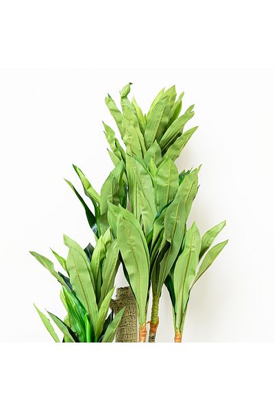 Generic Artificial Dracaena Masangana Plant 1.8m