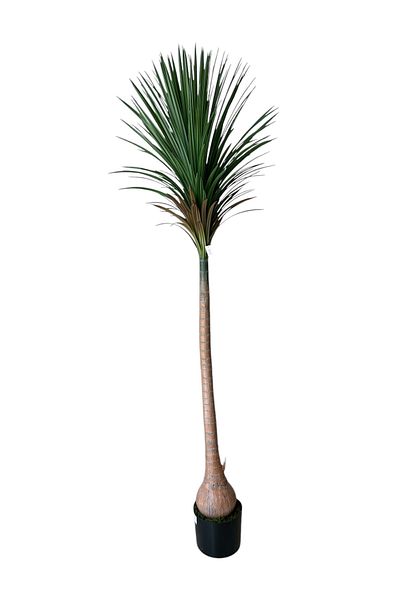 Generic Artificial Yucca Tree Single Branch 2.10m