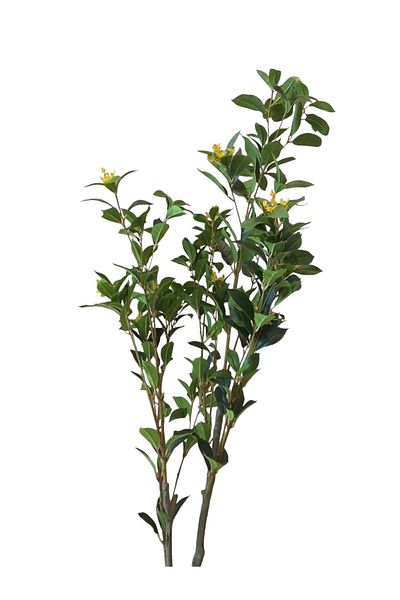 Generic 1.5m artificial fragrans tree