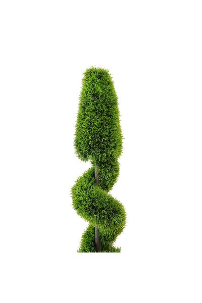 Generic Artificial twisted sapwood