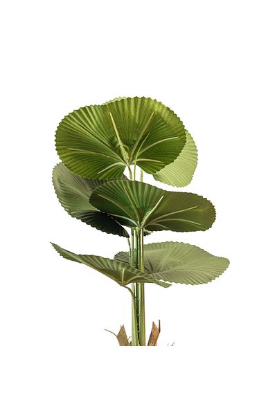 Generic 1 meter artificial licuala tree