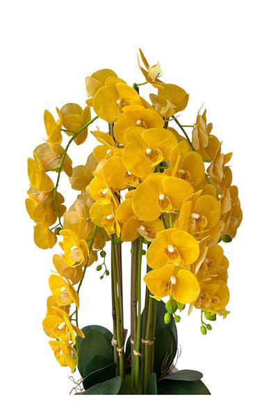 Generic artificial yellow orchid