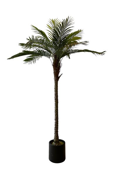 Generic Artificial palm tree 1 x 2 m