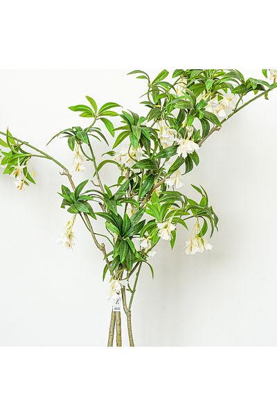 Generic Artificial Schefflera Tree 1.7m