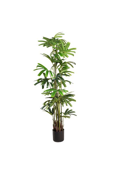 Generic 1.95m Artificial Rabsa Tree
