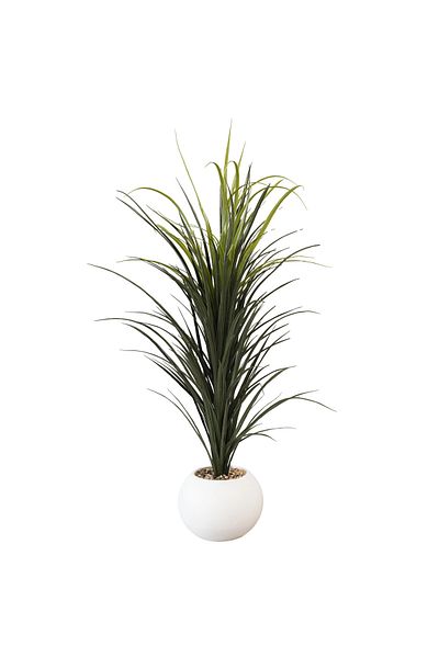 Generic 1.2m Artificial Yucca Tree