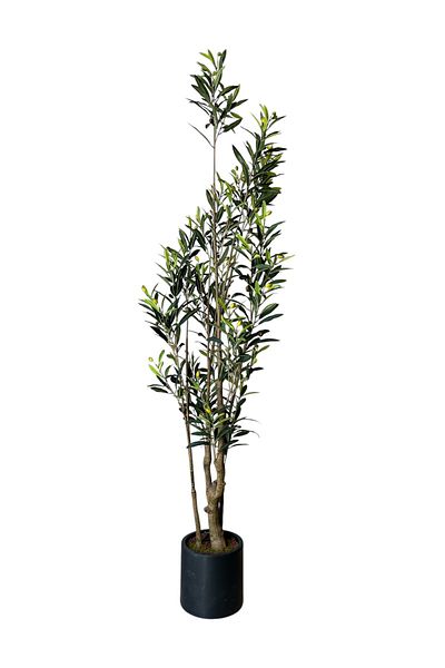 Generic Artificial olive tree, 1.80 m high