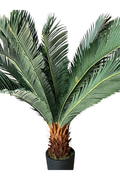 Generic Artificial Cycas Tree 1.25 m