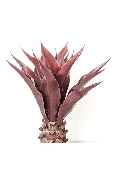 Generic Artificial cactus tree 70cm