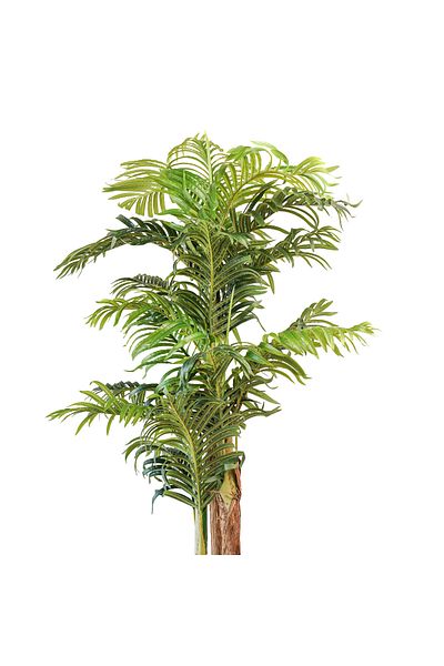 Generic 1.5m Artificial Kwai Palm Tree