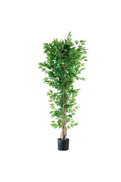 Generic 1.8m Artificial Banyan Tree