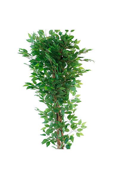 Generic 1.8m Artificial Banyan Tree