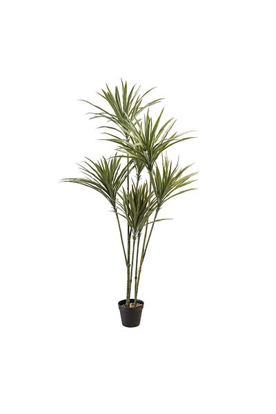 Generic 1.35m Artificial Dracaena Tree
