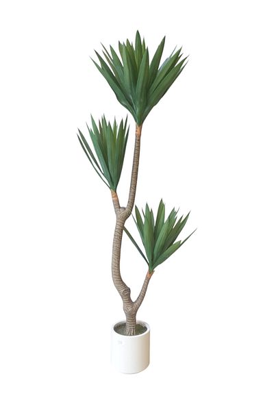 Generic Agfa Cactus Artificial Tree 1.40m