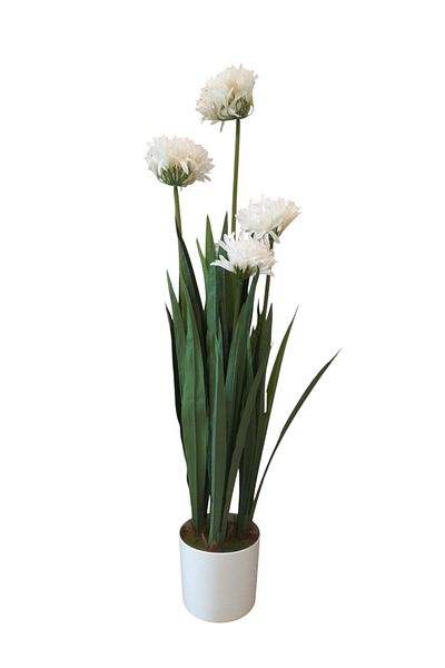 Generic Agapanthus Tree - Artificial White Tree 1.20 m