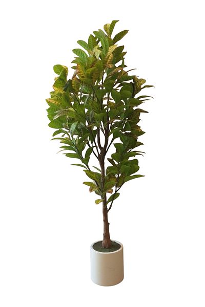 Generic 1.9m artificial croton tree