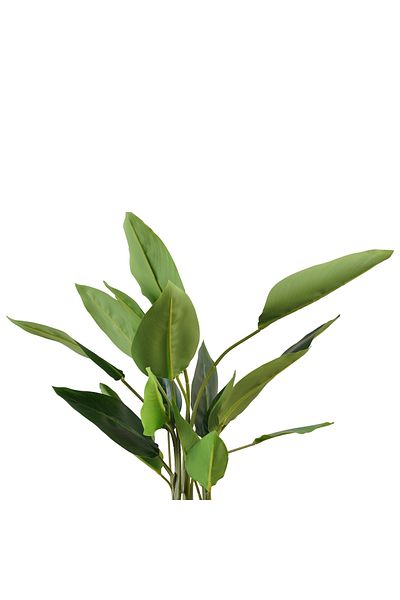 Generic Artificial Australian Banana Tree 78cm