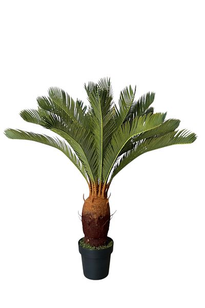 Generic 1m artificial cycad tree